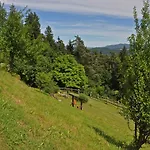Gasthof Mm *